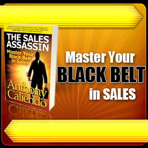 The Sales Assassin - Digital Media Design