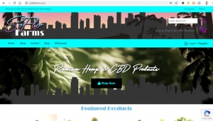 Florida e-commerce website development