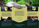 Brochure Layout and Design