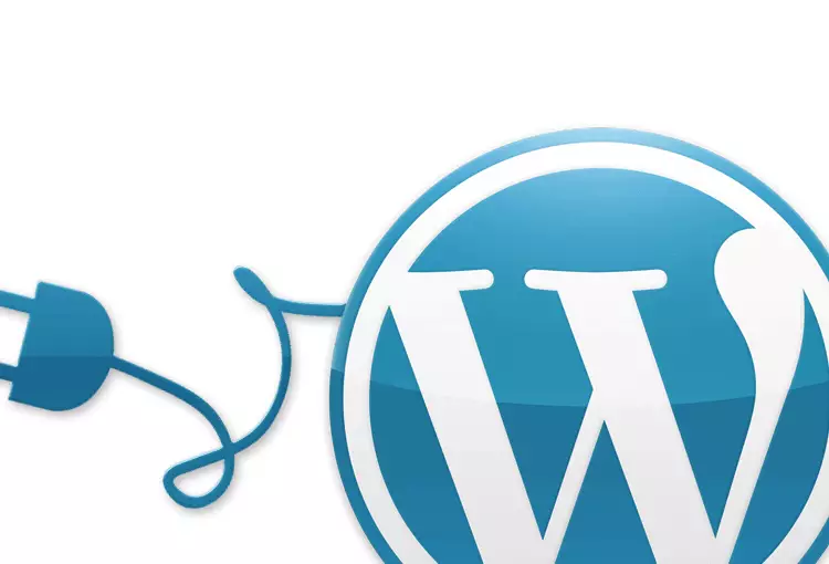 Digital Marketing Service Wordpress Tips: Top Essential Plugins For Every Wordpress Website